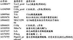 Figure BDA0000057170160002162