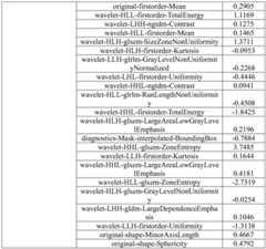 Figure GDA0003325264840000061