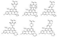 Figure imgf000131_0001