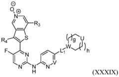 Figure imgf000039_0001