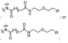 Figure imgf000019_0003