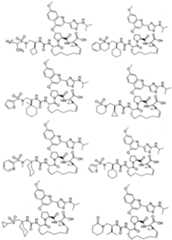 Figure imgf000136_0001