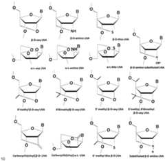 Figure imgf000020_0001