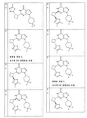 Figure 112013003750924-pct00018