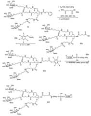 Figure 2023012548000682