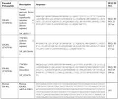 Figure imgf000121_0001