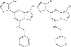 Figure US08580782-20131112-C00087