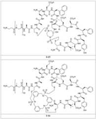 Figure 2024156841000334