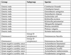 Figure imgf000026_0001