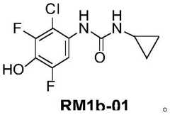 Figure BDA0003795483320000081