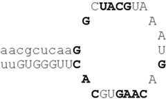 Figure US06759392-20040706-C00010