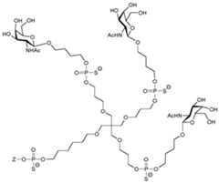 Figure imgf000024_0002