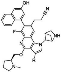 Figure BDA0003993773060002621