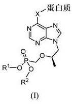Figure 294579DEST_PATH_IMAGE003