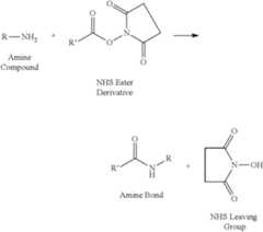 Figure US11377470-20220705-C00009