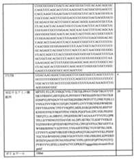 Figure 0007438604000014