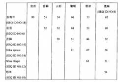 Figure BPA00001252299900491