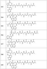 Figure BDA0002268634580003111