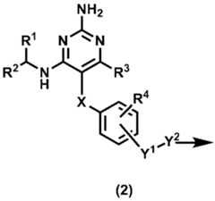 Figure JPOXMLDOC01-appb-C000001
