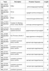 Figure imgf000442_0001