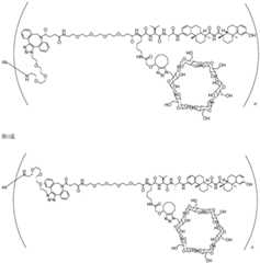 Figure BDA0002889616220001831