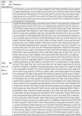 Figure imgf000086_0001