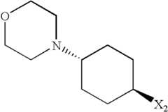 Figure US07521457-20090421-C00562