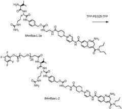 Figure BDA0003652151060001251