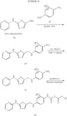 Figure US07714138-20100511-C00019