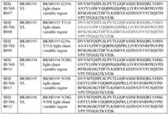 Figure imgf000063_0001