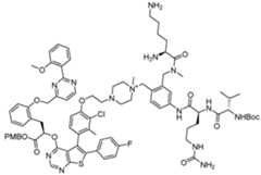 Figure imgf000452_0001
