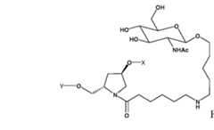 Figure imgf000111_0006