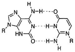 Figure imgf000031_0001