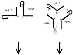 Figure imgf000061_0001