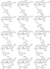 Figure imgf000058_0001