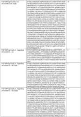 Figure imgf000088_0001