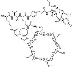 Figure BDA0002889616220003261