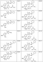 Figure imgf000035_0001