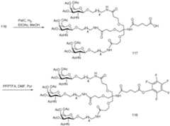 Figure imgf000245_0001