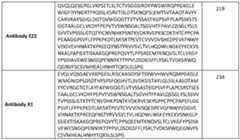 Figure imgf000055_0001