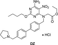 Figure BDA0000075082050001961