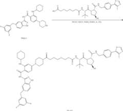 Figure US11969472-20240430-C00204