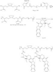 Figure US08475781-20130702-C00022