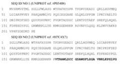 Figure imgf000004_0001