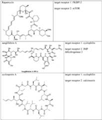 Figure imgf000498_0001