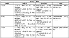 Figure imgf000053_0002