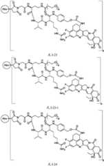 Figure FDA0003674984860000181