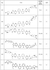 Figure 112022096272341-pat00163