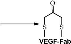 Figure imgf000019_0002