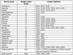 Figure imgf000061_0001